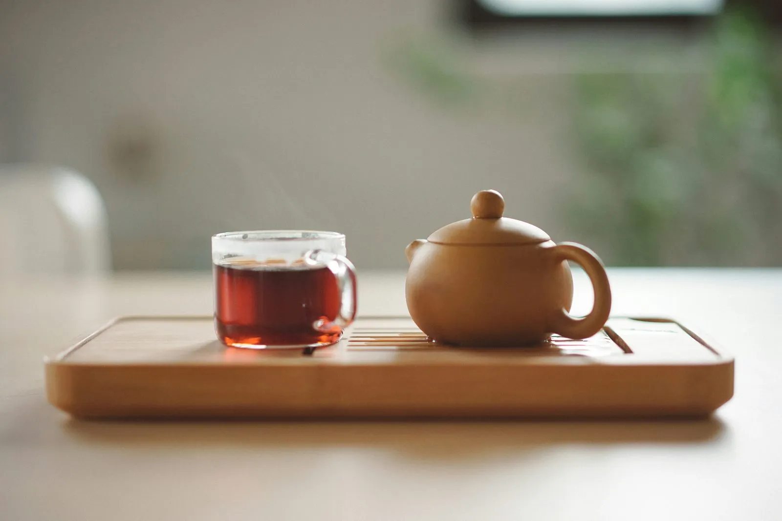 Imagen de difusión de «Cartografías sensoriales del té. Lugares, aromas y culturas de Asia»