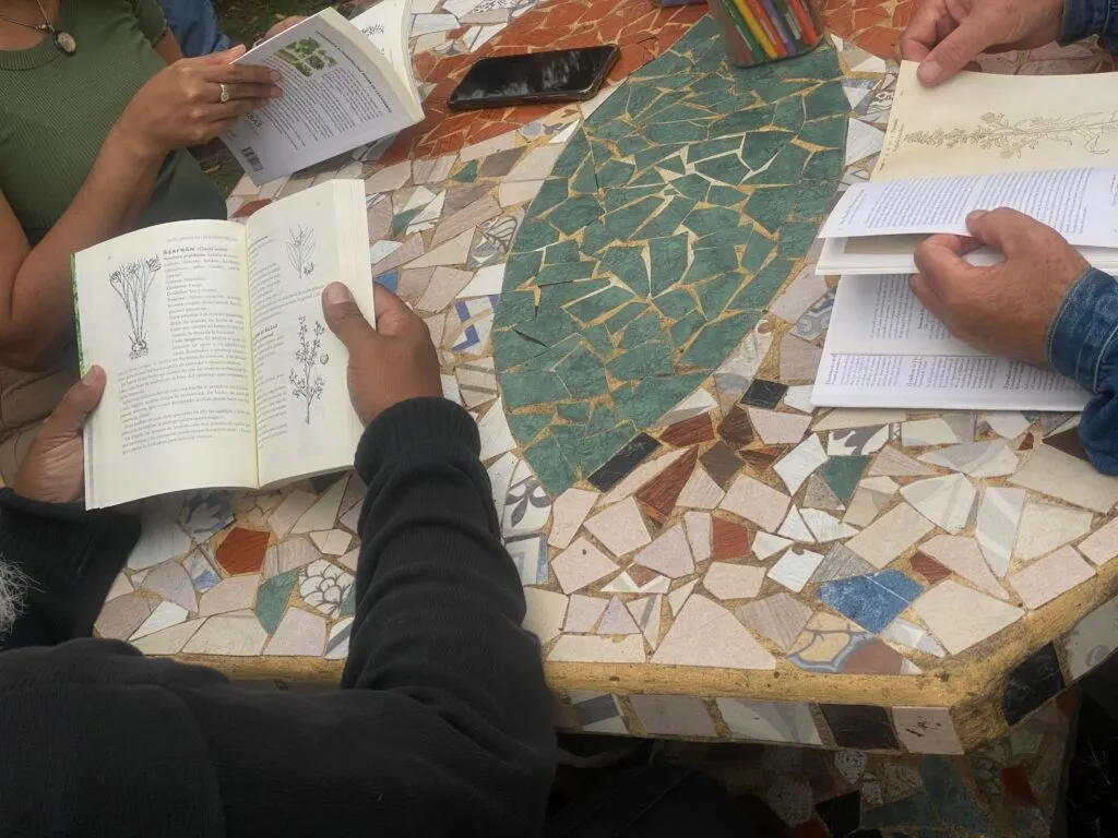 Imagen de difusión de «Las tres ecologías – De la observación al trazo»