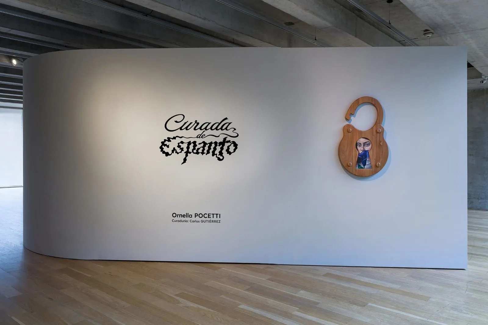 Imagen de difusión de «Ornella Pocetti: Curada de espanto»