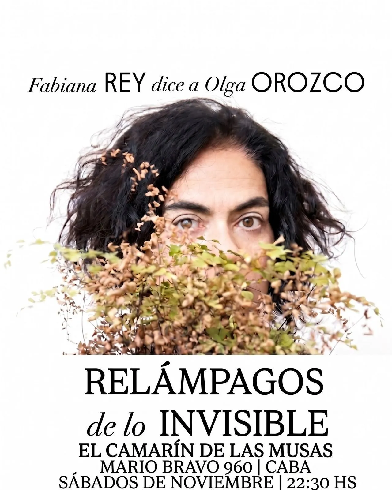 Imagen de difusión de «Relámpagos de lo invisible»