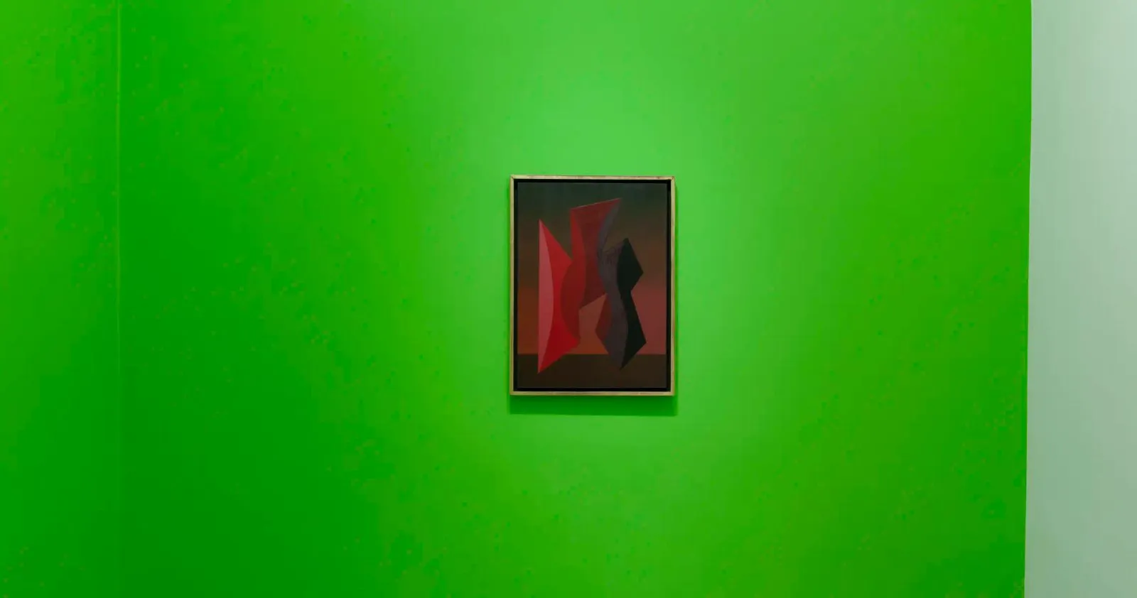 Imagen de difusión de «Roberto Aizenberg: La flor de la distancia»