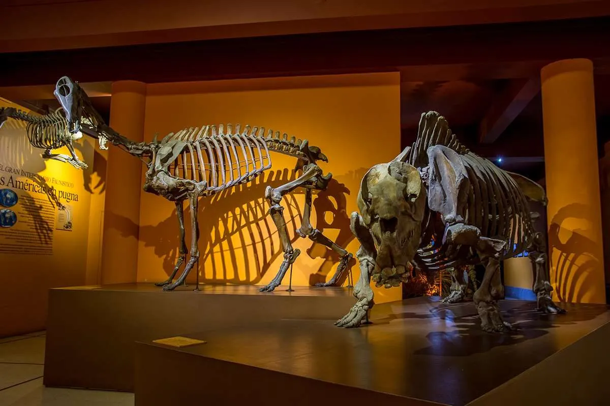 Imagen de difusión de «Visita al Museo: exhibiciones»
