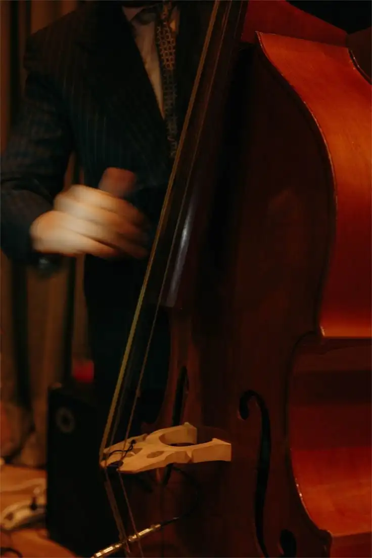 Primer plano de la mano de un músico pulsando las cuerdas de un contrabajo.
